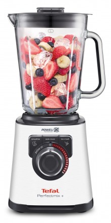 Blenderis Tefal Perfect Mix+